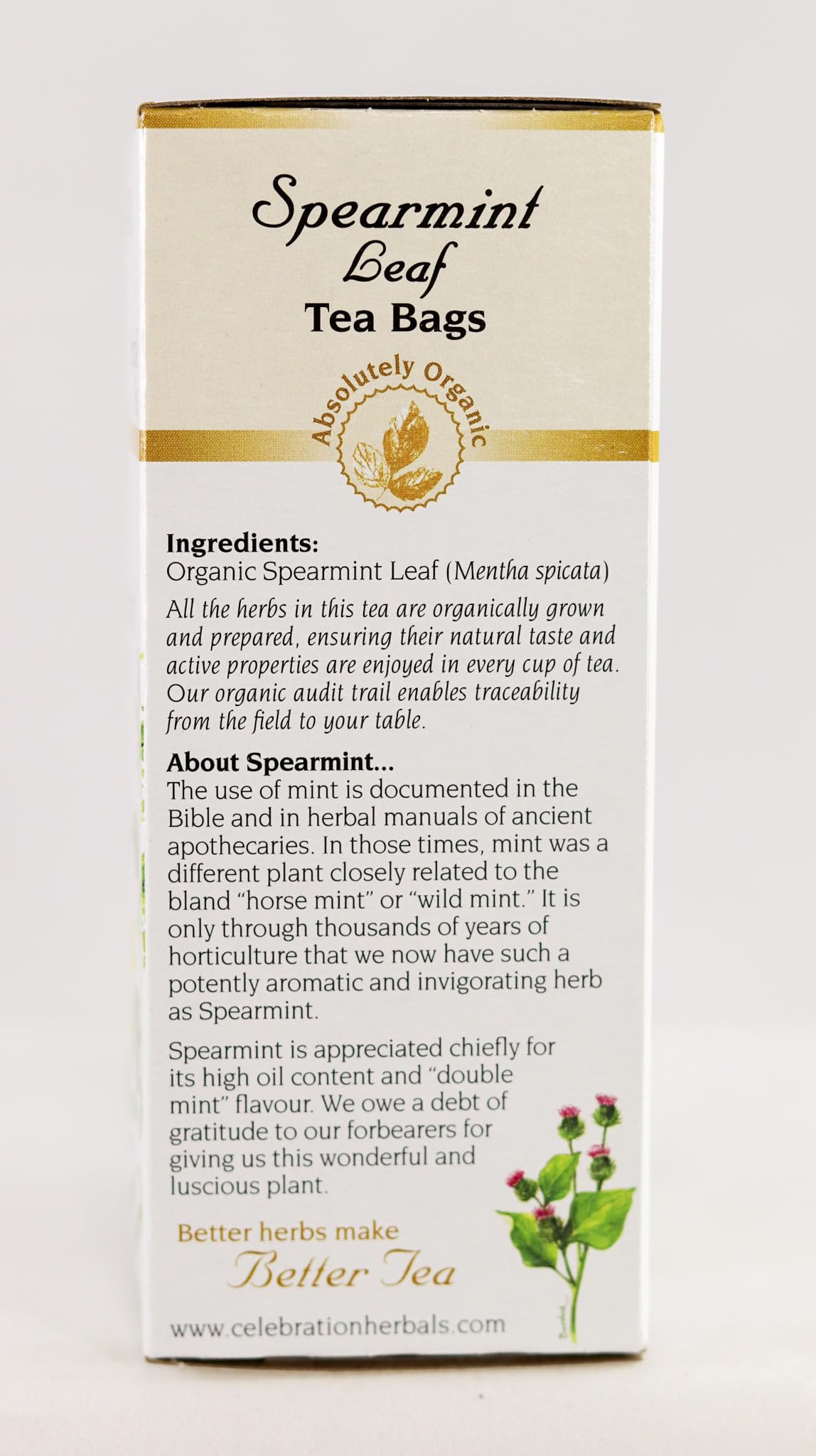 CELEBRATION HERBALS Spearmint Leaf Tea Organic 24 Bag, 0.02 Pound