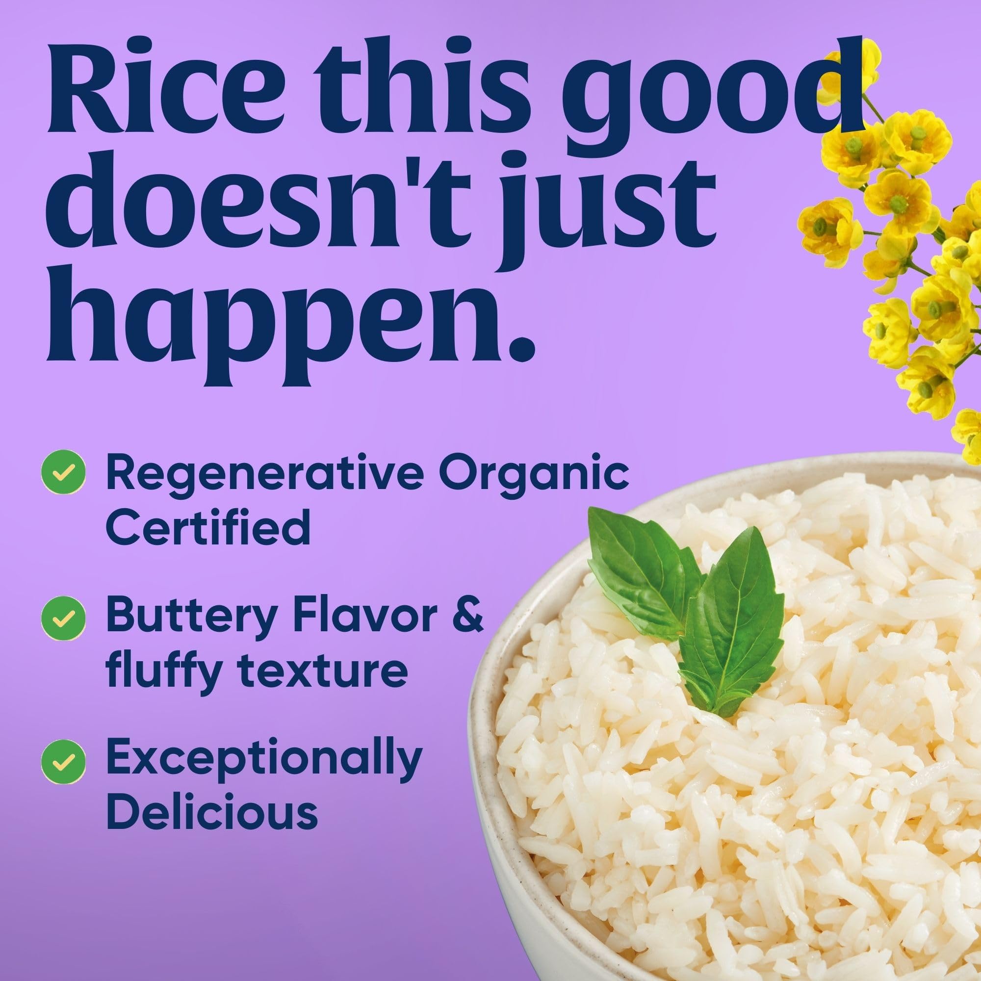 Lundberg Jasmine Rice, Regenerative Organic Certified - Non-Sticky, Aromatic Long-Grain White Rice, Responsibly Grown in California, 32 Oz
