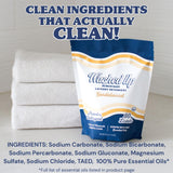 Washed Up Goods Sandalwood Laundry Detergent Powder | Only 100% Pure Essential Oils | Safe for Sensitive Groups | Powerful Clean | Plant