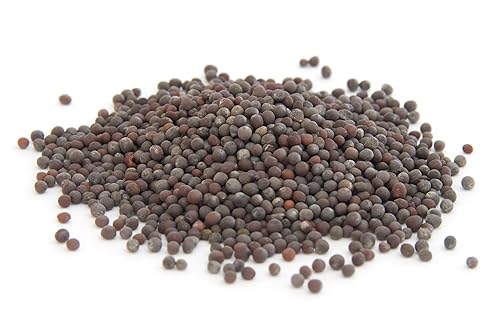 Essential Spice Brown Mustard Seeds, 120 oz - Bold, Pungent & Peppery Flavor - Whole Seeds for Pickling, Curries, Spice Blends & Indian Cuisine