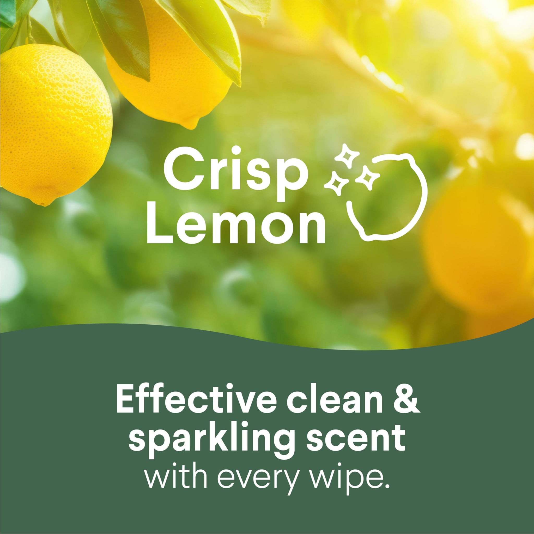 Clorox Wet Wipes Lemon Fresh & Fresh Scent - 3 CT