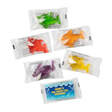 Fun Express Personalized Shark Gummy Candies Assortments May Vary