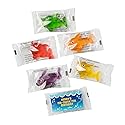 Fun Express Personalized Shark Gummy Candies Assortments May Vary