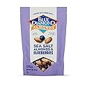 Blue Diamond Almonds, Premium Sea Salt and Blueberries Snack Nuts Perfect Snack Mix with Protein and Fiber, 7 Ounce (Pack of 1)