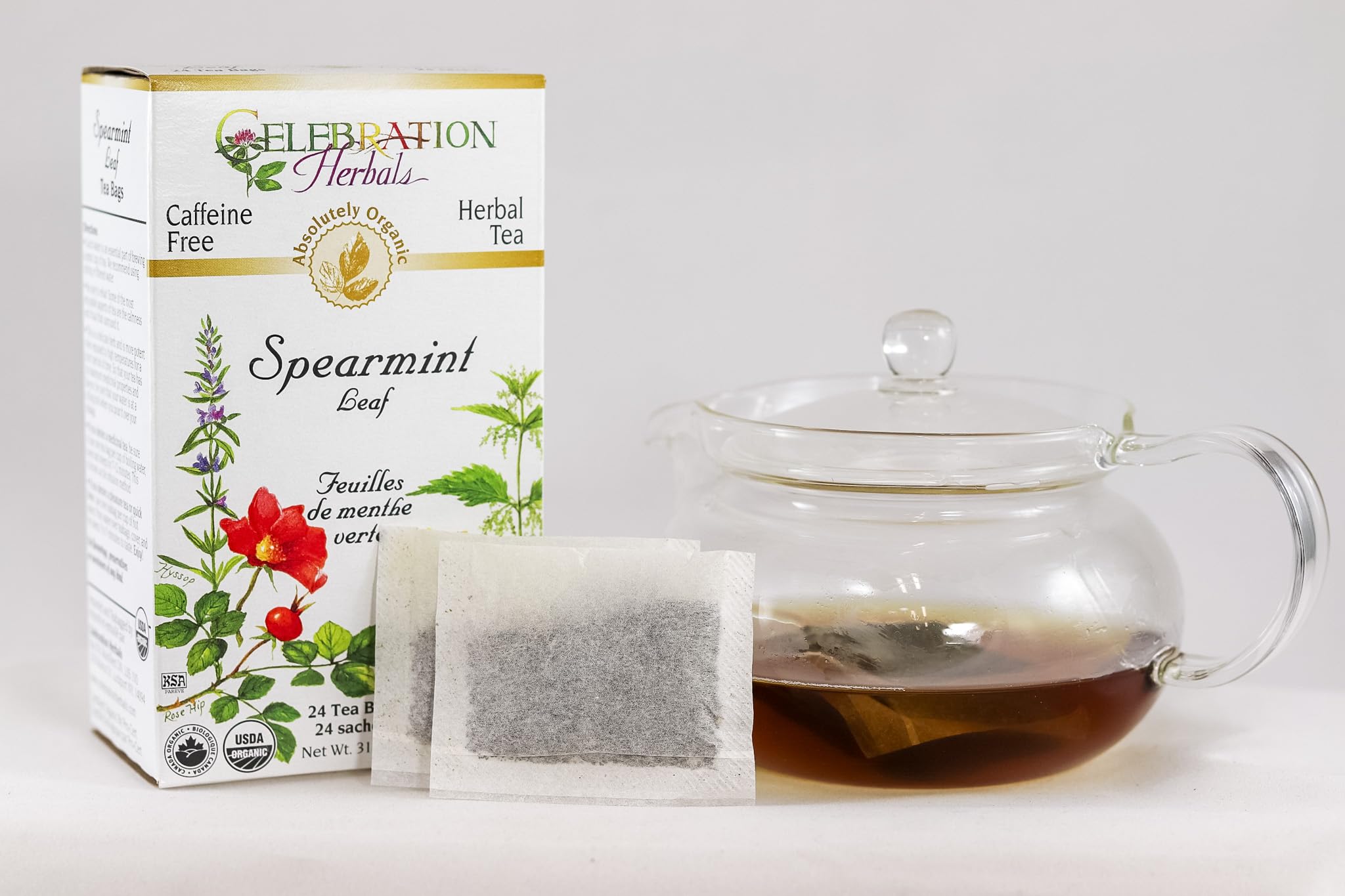 CELEBRATION HERBALS Spearmint Leaf Tea Organic 24 Bag, 0.02 Pound
