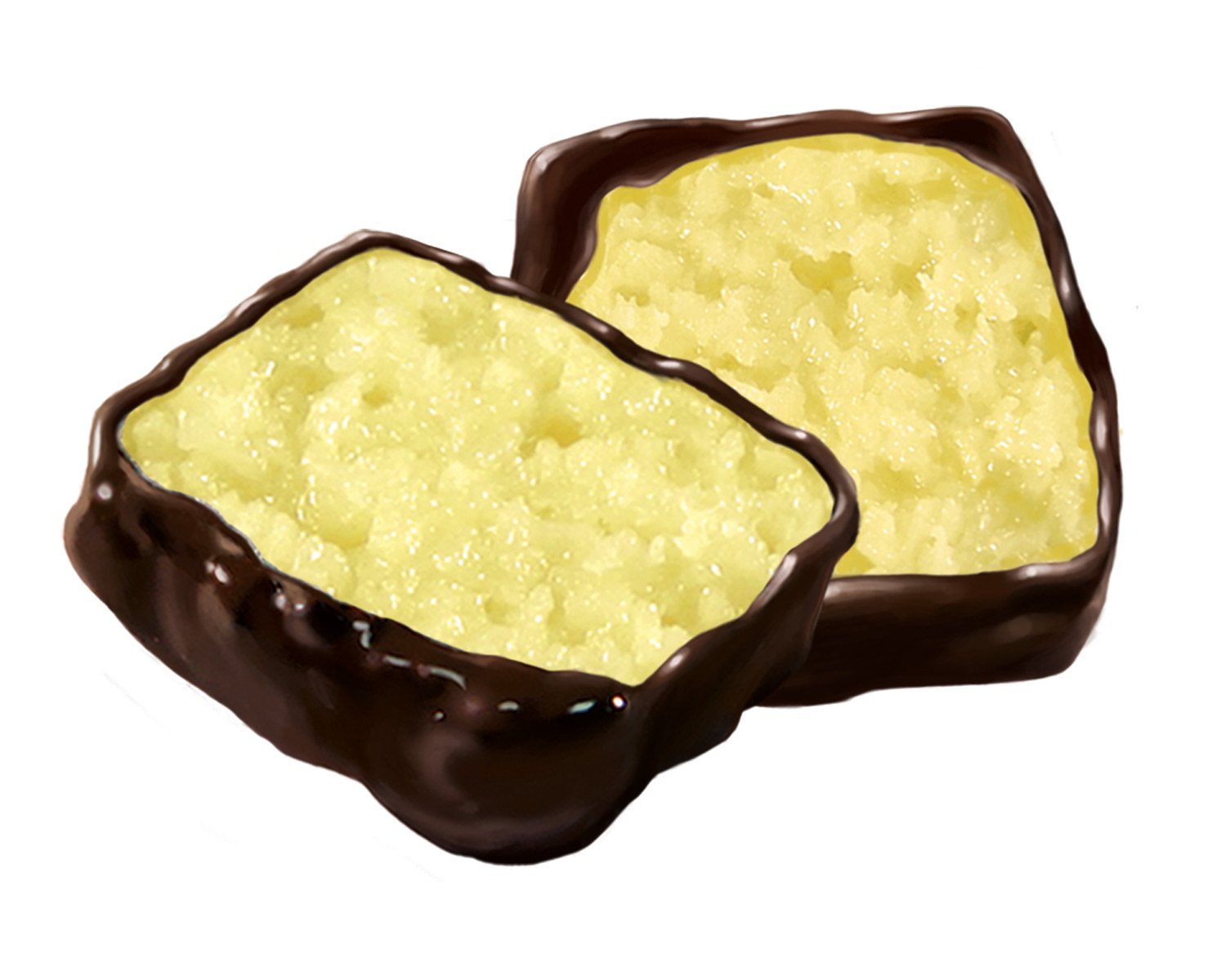 Florida's Finest Pina Colada Creamy Coconut Patties Dipped in Chocolate 12oz
