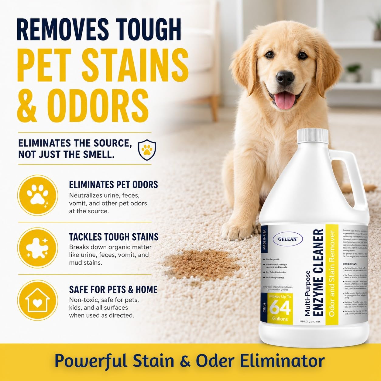 Enzymatic Cleaner Multi-Purpose Enzyme Cleaner for Dog Urine and Poop Carpet | Cat Pee Odor eliminator Pet Urine Enzyme Drain Cleaner | Floors