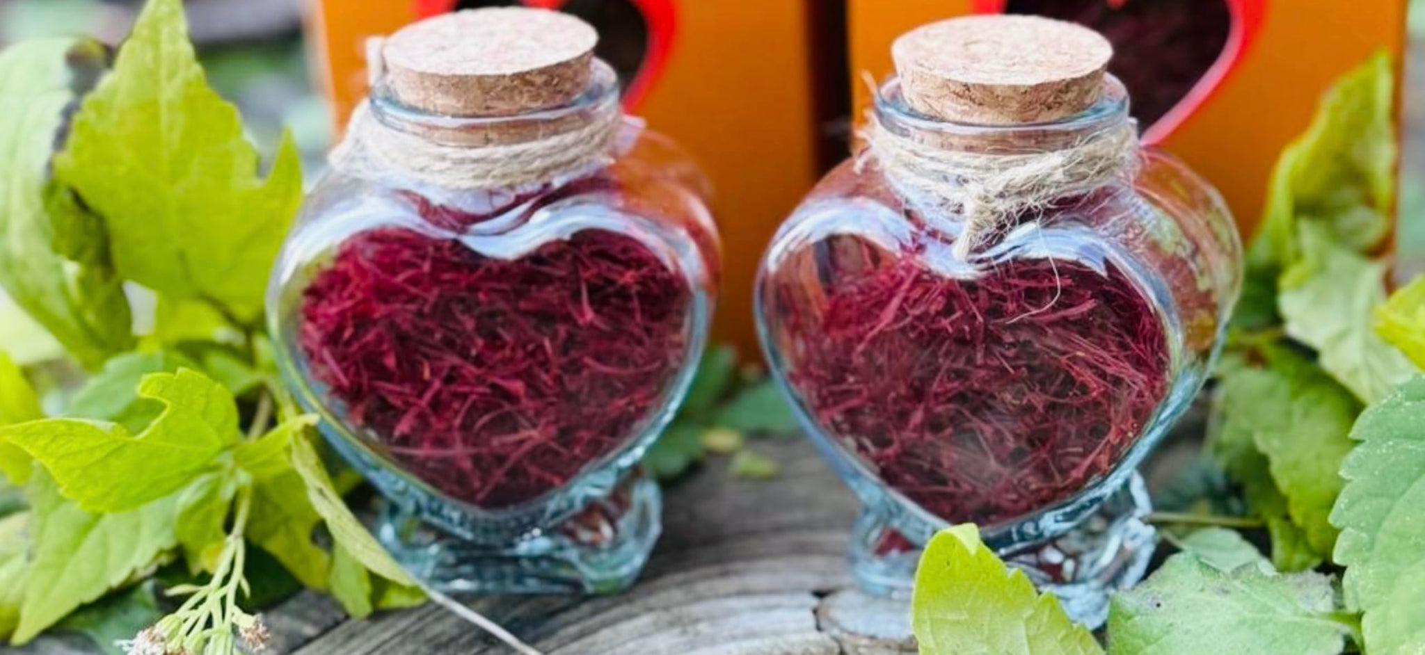 Premium Herati Saffron Threads - 5g | Afghan Origin | 100% Pure All Red Stigma | Hand Harvested Spice for Cooking, Tea, Paella, Rice, Biryani, Golden