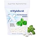 XyloBurst Xylitol Mints - Sugar Free Mints with Xylitol Candy - Aspartame Free, Gluten Free, Vegan & Keto Friendly Peppermint -1000 Count Bag