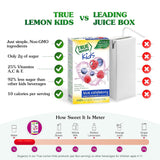 True Lemon Kids Blue Raspberry - Hydration for Kids - No Preservatives, No Artificial Flavors, No Artificial Sweeteners - Low Sugar Water Flavoring