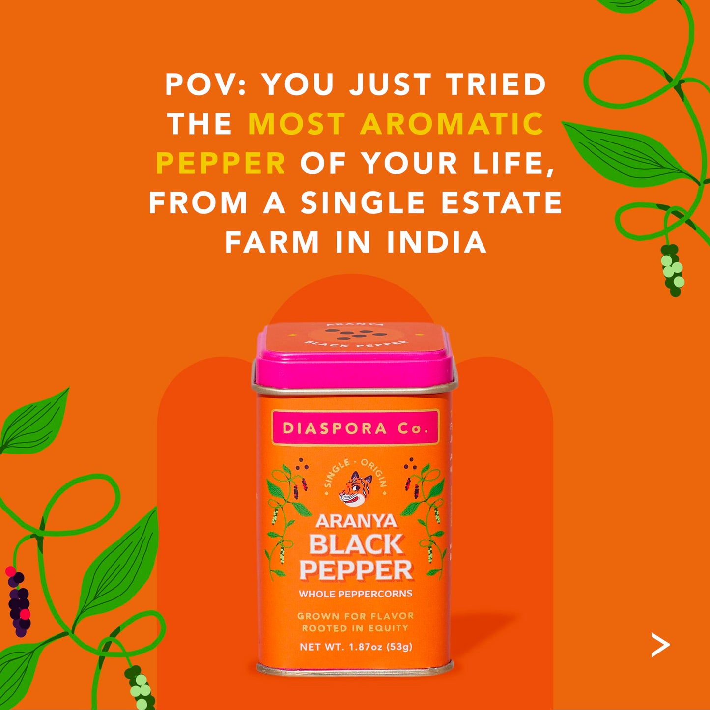 Diaspora Spice Co. Aranya Black Pepper Whole Peppercorns - Single-Origin Fresh Harvest Pepper from India, High Aroma, Bold Flavor for Cooking