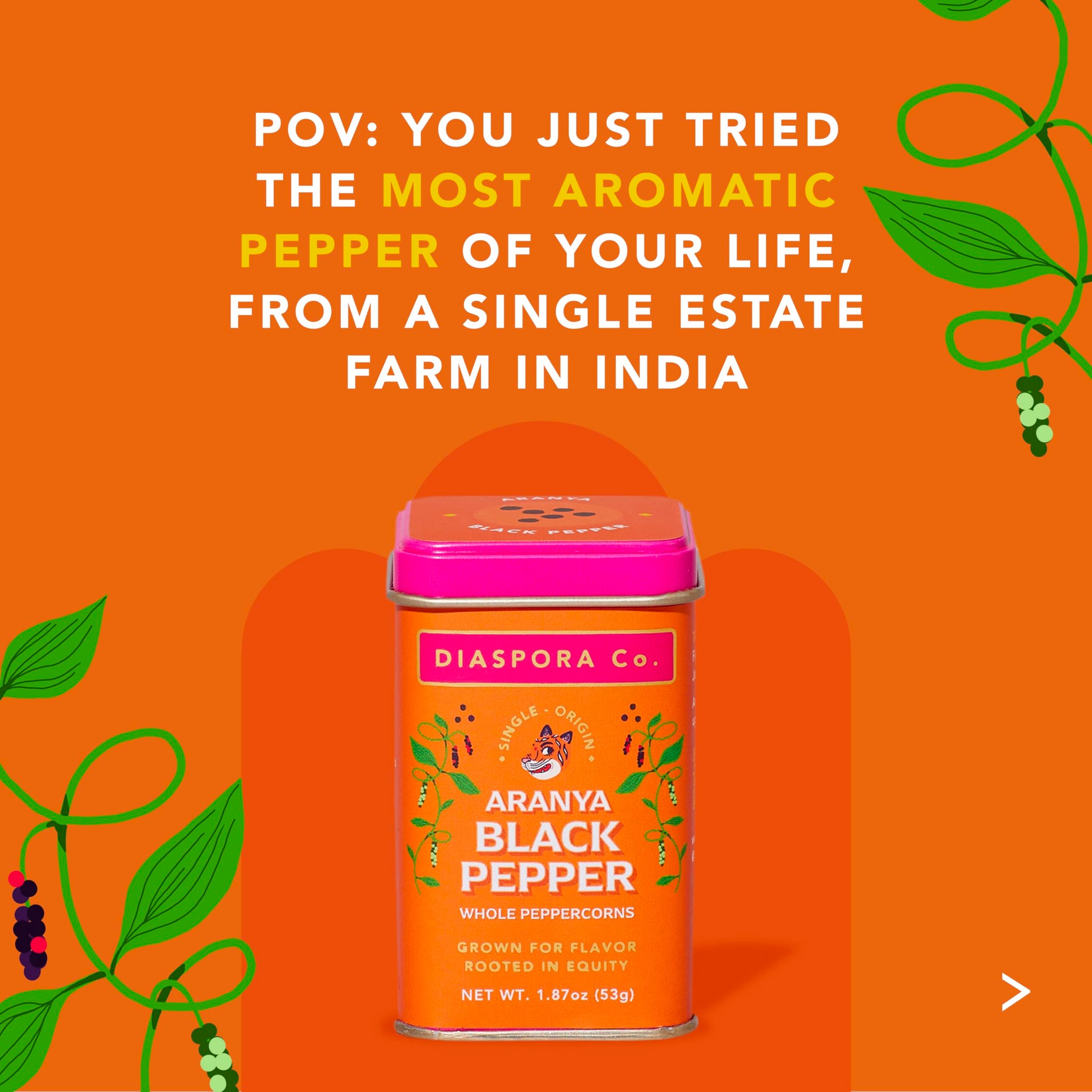 Diaspora Spice Co. Aranya Black Pepper Whole Peppercorns - Single-Origin Fresh Harvest Pepper from India, High Aroma, Bold Flavor for Cooking