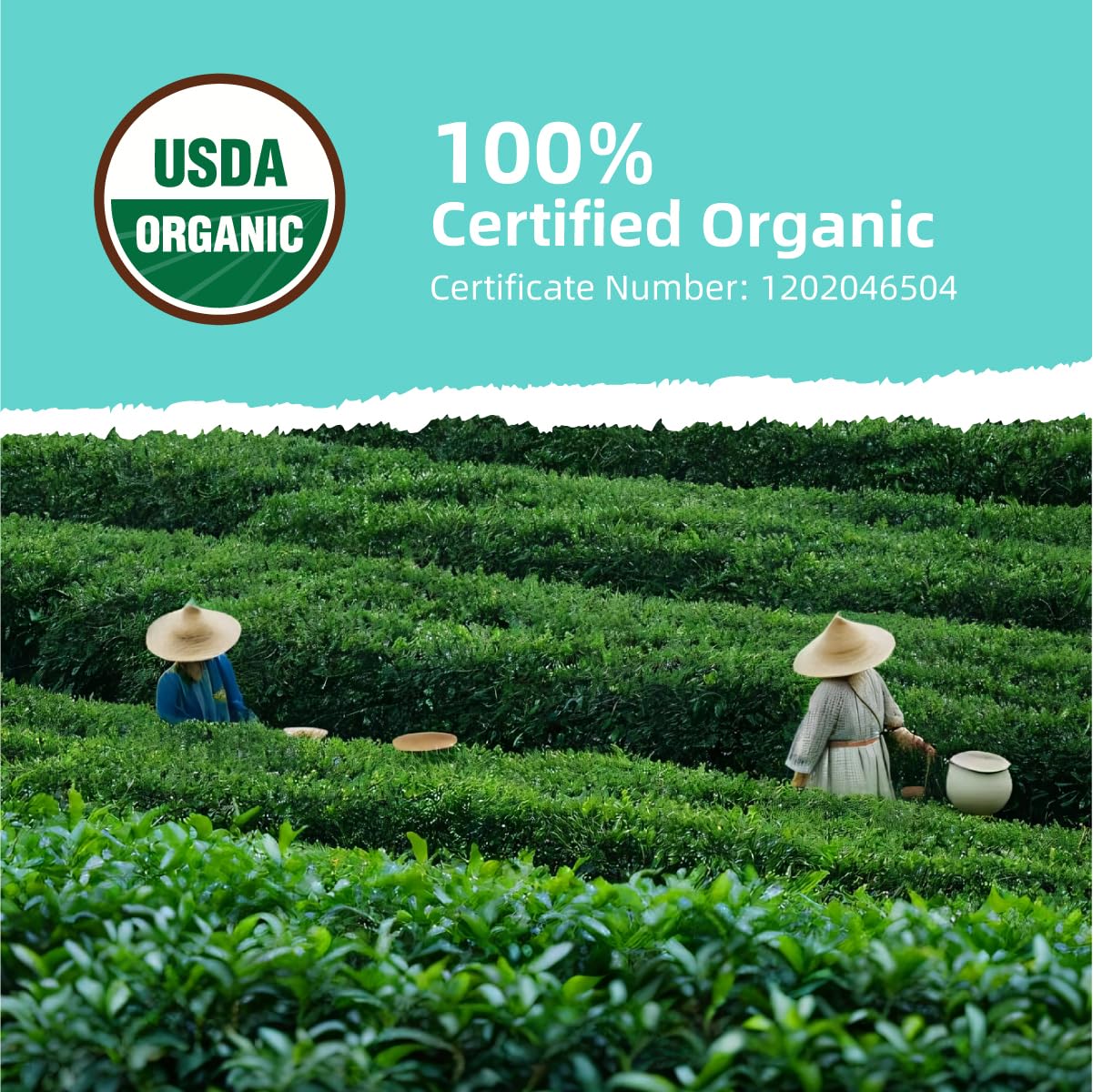 Essencesip Ripe Puerh Tea Loose Leaf, 4oz Tin - Aged Fermented Organic pu-erh Tea with Earthy Richness, Smooth Mellow Finish, Crafted for Hot Brewing