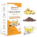 Herbal Tea Bags for Cloves Whole & Ginger Tea Bags 25 Pyramid Bags (3.5g Each) Ginger Root & Clove Tea Bags for English breakfast Tea - Caffeine Free