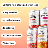 WellWithAll Energy Drink Variety Pack, Strawberry Lemonade, Fruit Punch, Tropical Mango, Peach Flavors, Caffeine from Tea, With Vitamin C, Lightly