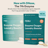 FEBU Enzyme Oxygen Laundry Booster | 7-Enzymes Including DNase | Odor Eliminator & Stain Remover for Sweat, Pet & Musty Odors | Concentrated Powder