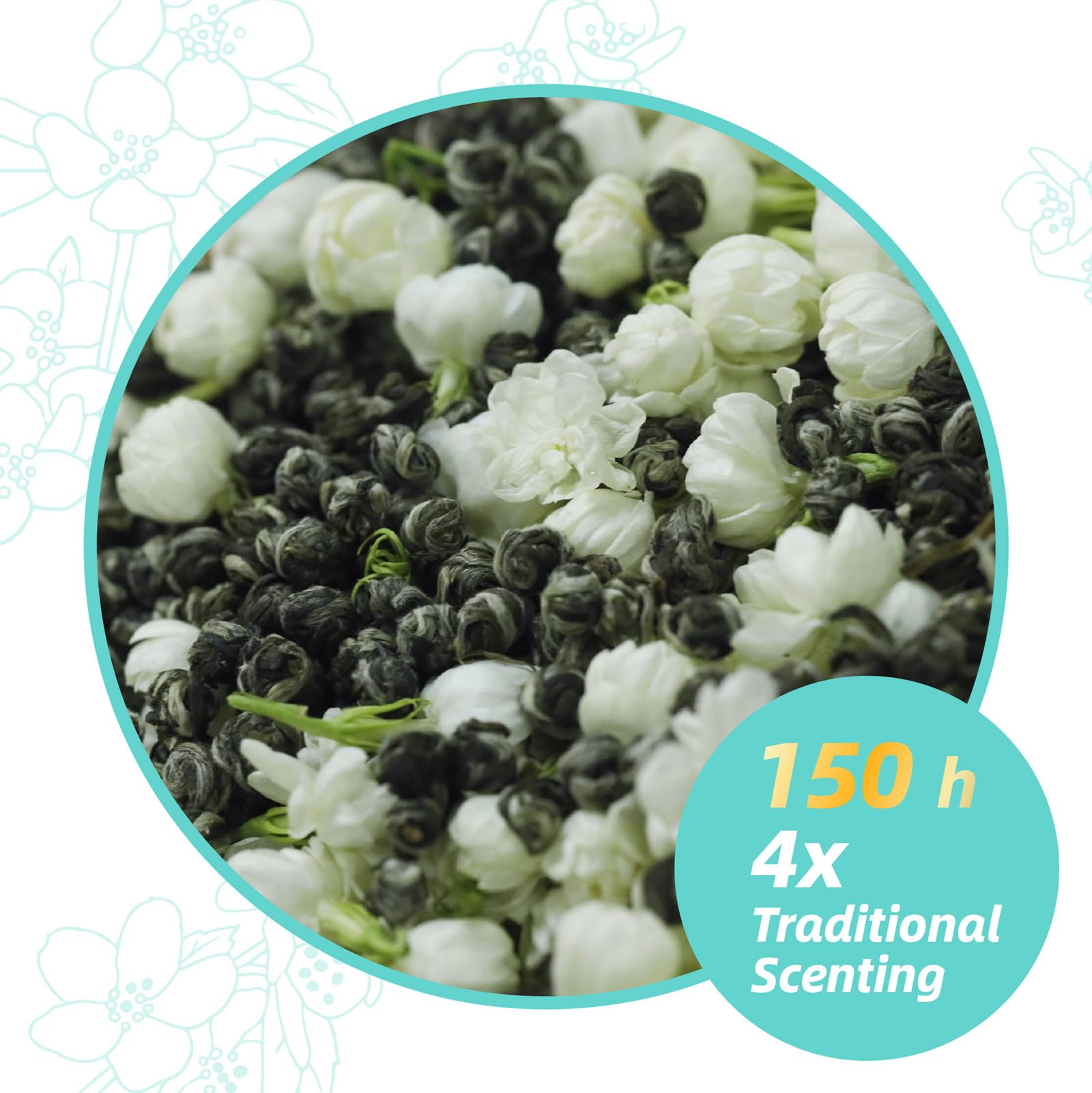 Essencesip Jasmine Pearl Green Tea Loose Leaf, 6oz Tin - 4x Scented Dragon Pearls with Deep Jasmin Aroma, Smooth Taste, USDA Organic, Ethically