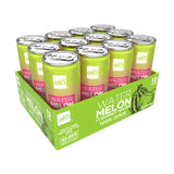 ALO Slim Can Juice | 80% Watermelon Juice + 20% Coconut Water | Plant-Based Beverage | Not from Concentrate | 10.8oz Cans (Pack of 12)