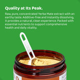 Yerba Mate Instant Tea - Boost Energy, Focus, Immunity & Cardio Health with Pure Organic Consentrated Extract - No Added Flavors or Sugars 120g (up