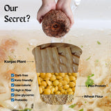 High Protein Ramen Noodles - 1 Pack | Protein Ramen Cups for Lunch or Dinner | Better for You Plant-Based Instant Meal