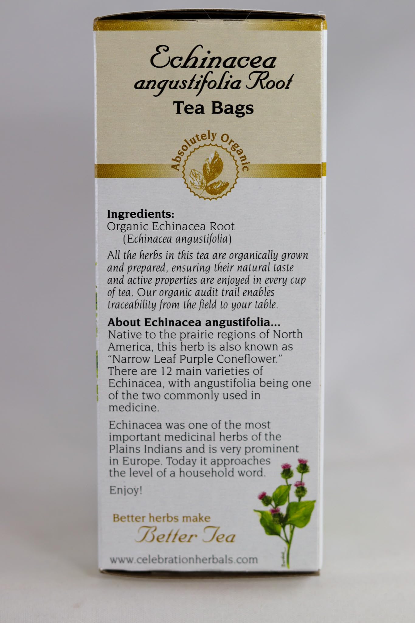 Celebration HERBALS Echinacea ANG Herb Tea Organic 24 Bag, 0.02 Pound