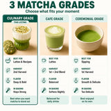 Matcha Powder for Latte, Smoothies and Recipes, Organic Japanese Matcha Powder, Culinary Grade Green Tea Powder 3.5 oz/100g ? USDA & JAS Organic by