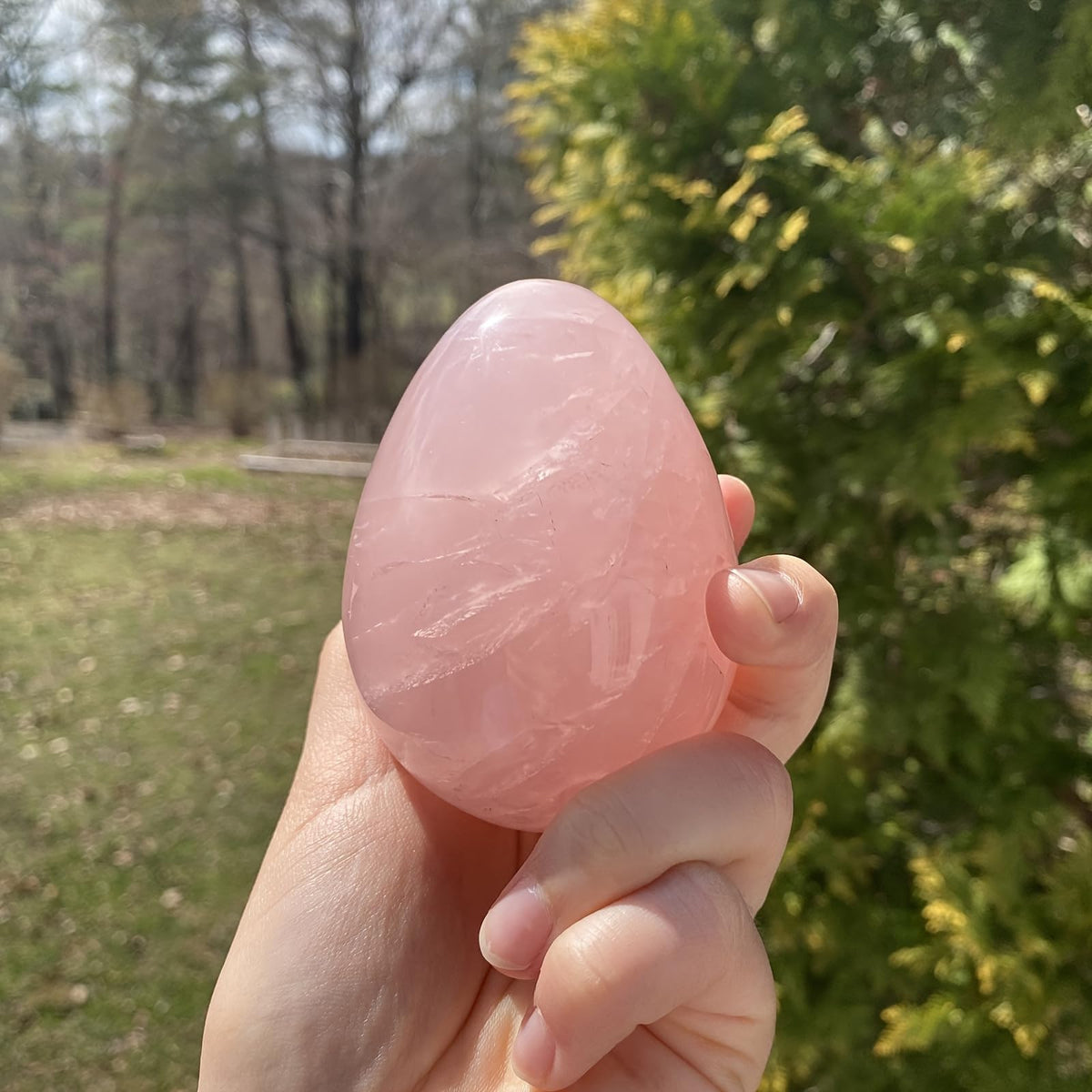 IPUDIS 1pc 150-200g Rose Quartz Hand-Carved Eggs Easter Interior Decoration Eggs