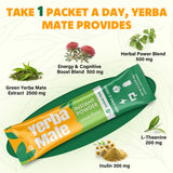 Yerba Mate, 10 in 1 Yerba Mate Tea Instant Powder - Natural Energy Drink Alternative to Coffee - No Sugar Content, Clean Energy with No Crash, Stay