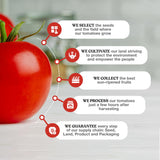 Pomì Pizza Sauce 14.1oz (Pack of 12) - 100% Fresh Italian Tomatoes, Made in Italy, Non-GMO, Gluten-Free, No Additives/Preservatives, Velvety & Creamy