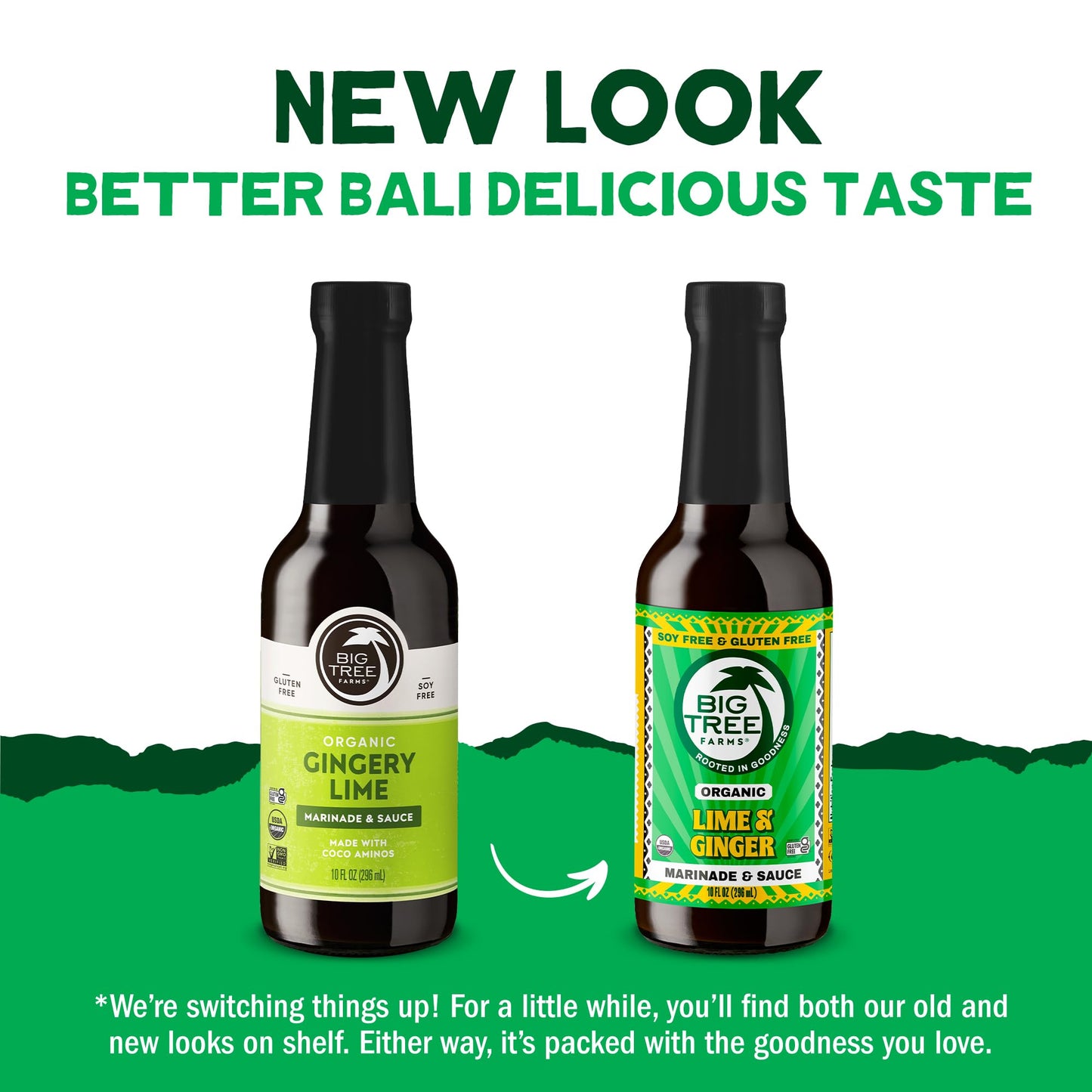 Big Tree Farms Organic Coco Aminos - Liquid Coconut Aminos, Soy-Free Sauce, Low Sodium, Soy Alternative, Gluten Free, Kosher, Marinade & Sauce