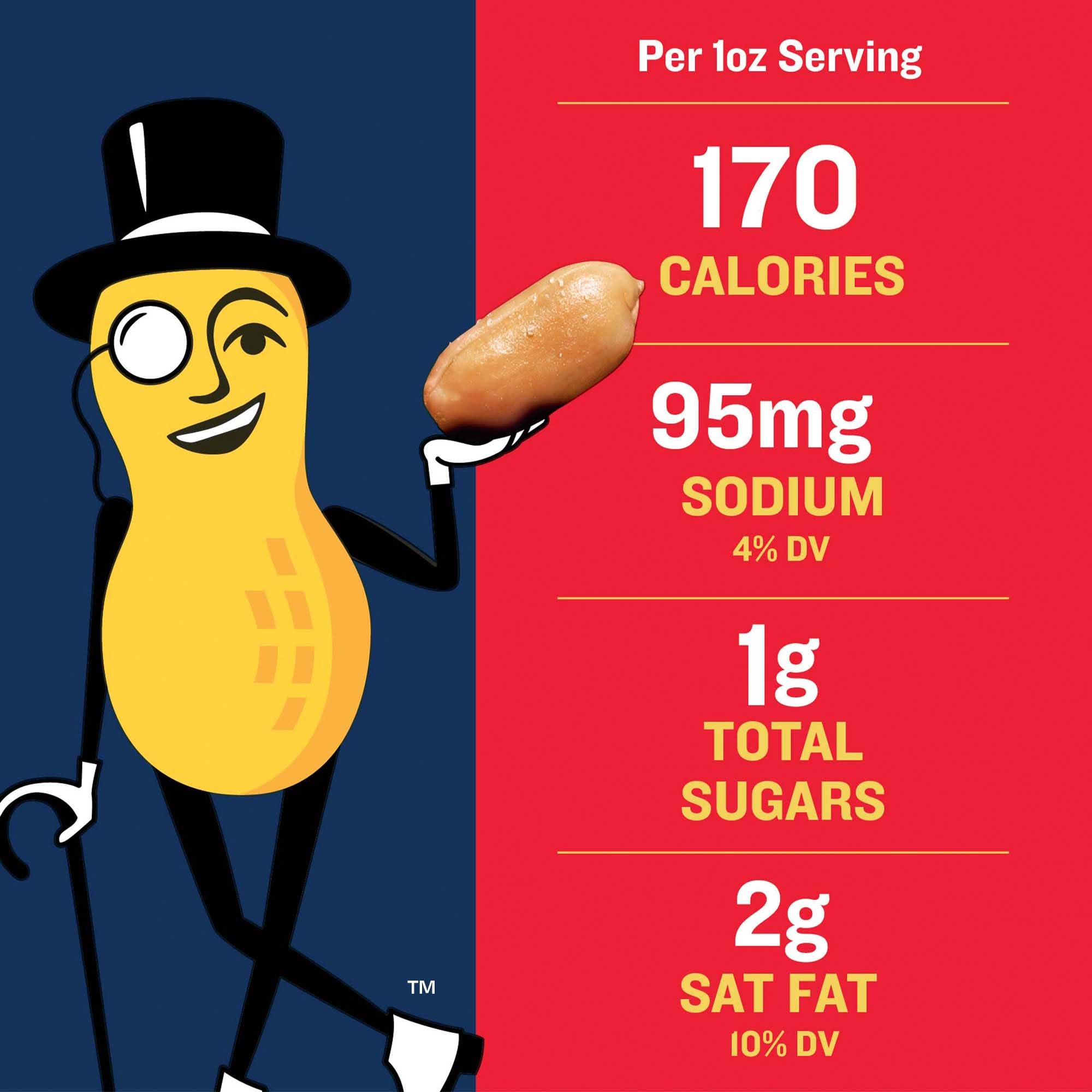 PLANTERS Salted Peanuts Cocktail, Party Snack, Plant-Based Protein, After School Snack, Roasted in Peanut Oil, Salted Nuts, Snacks for Adults, Bulk