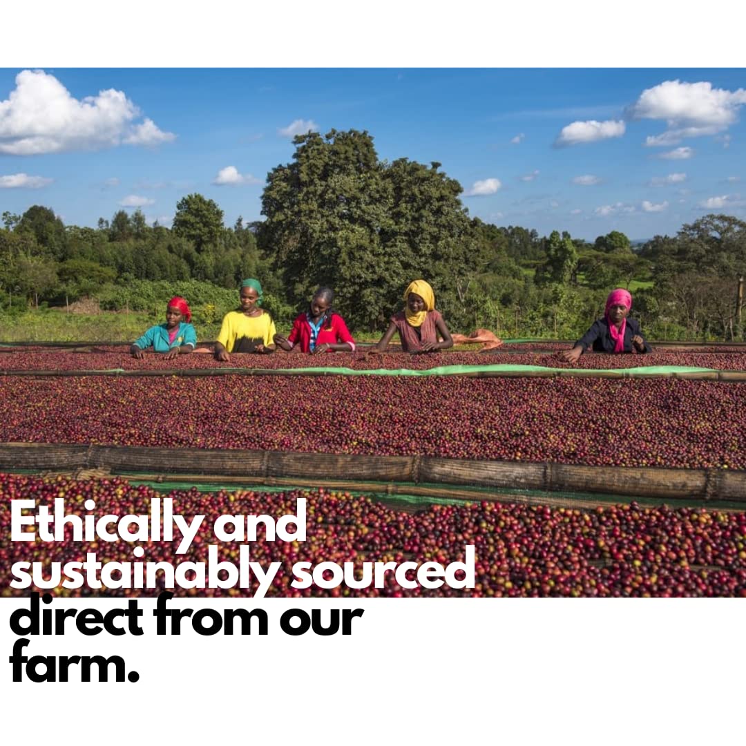 Lily's Coffee Specialty Ethiopian Guji Coffee,Natural Process,Whole Bean Coffee,Single-Origin,Medium Roast,100% Arabica Coffee,Notes of Rich