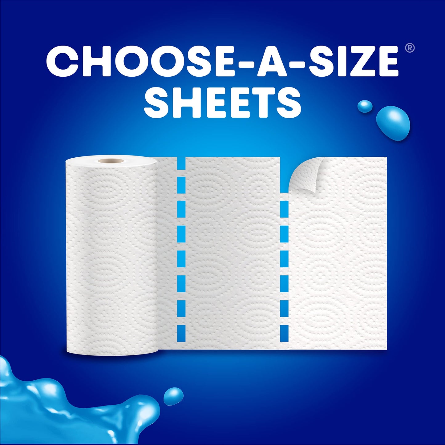 Ultra PRO 2 Ply Paper Towels - Choose-A-Size, 2 Pack