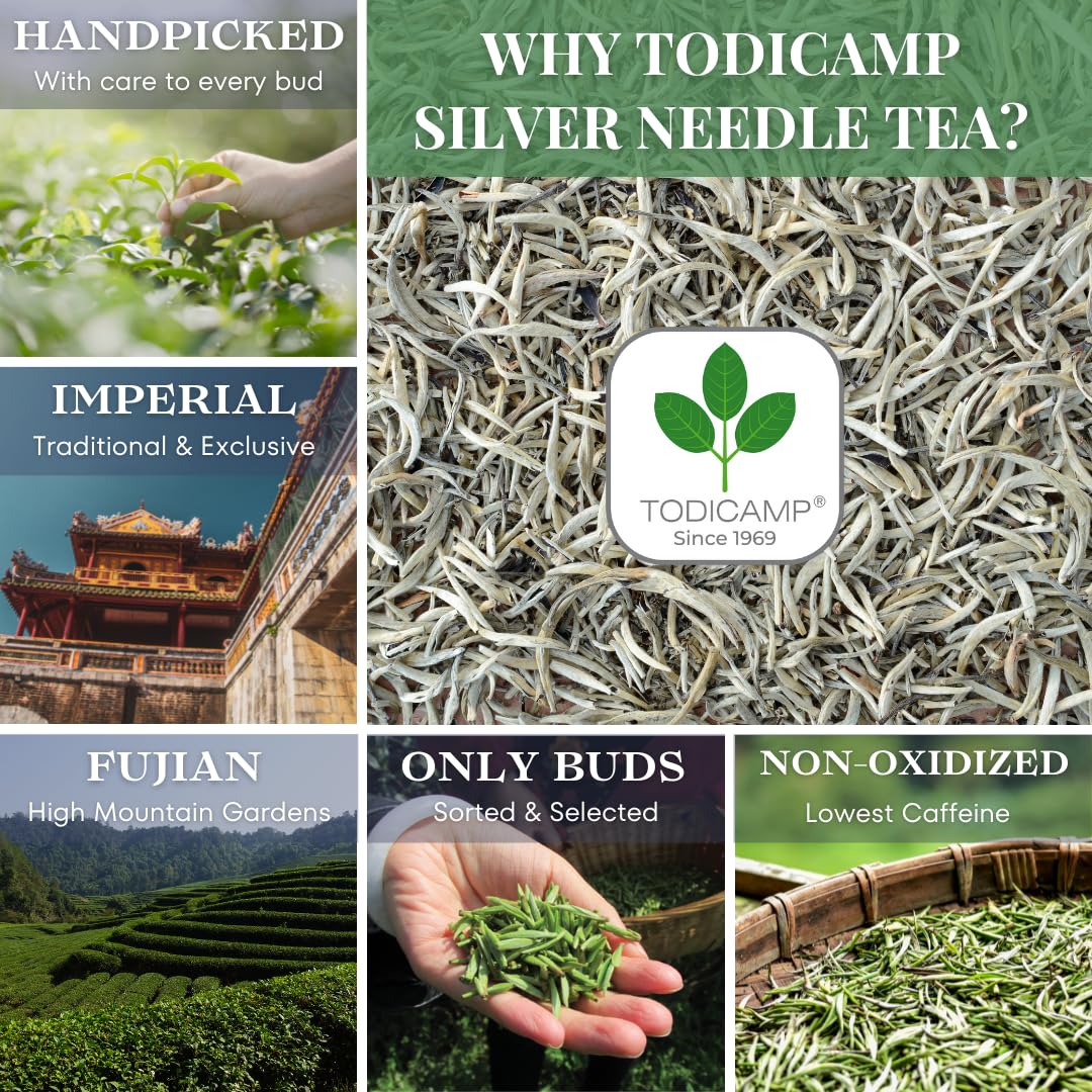TODICAMP Premium Silver Needle Tea - 1 lb of Premium White Tea Loose Leaf