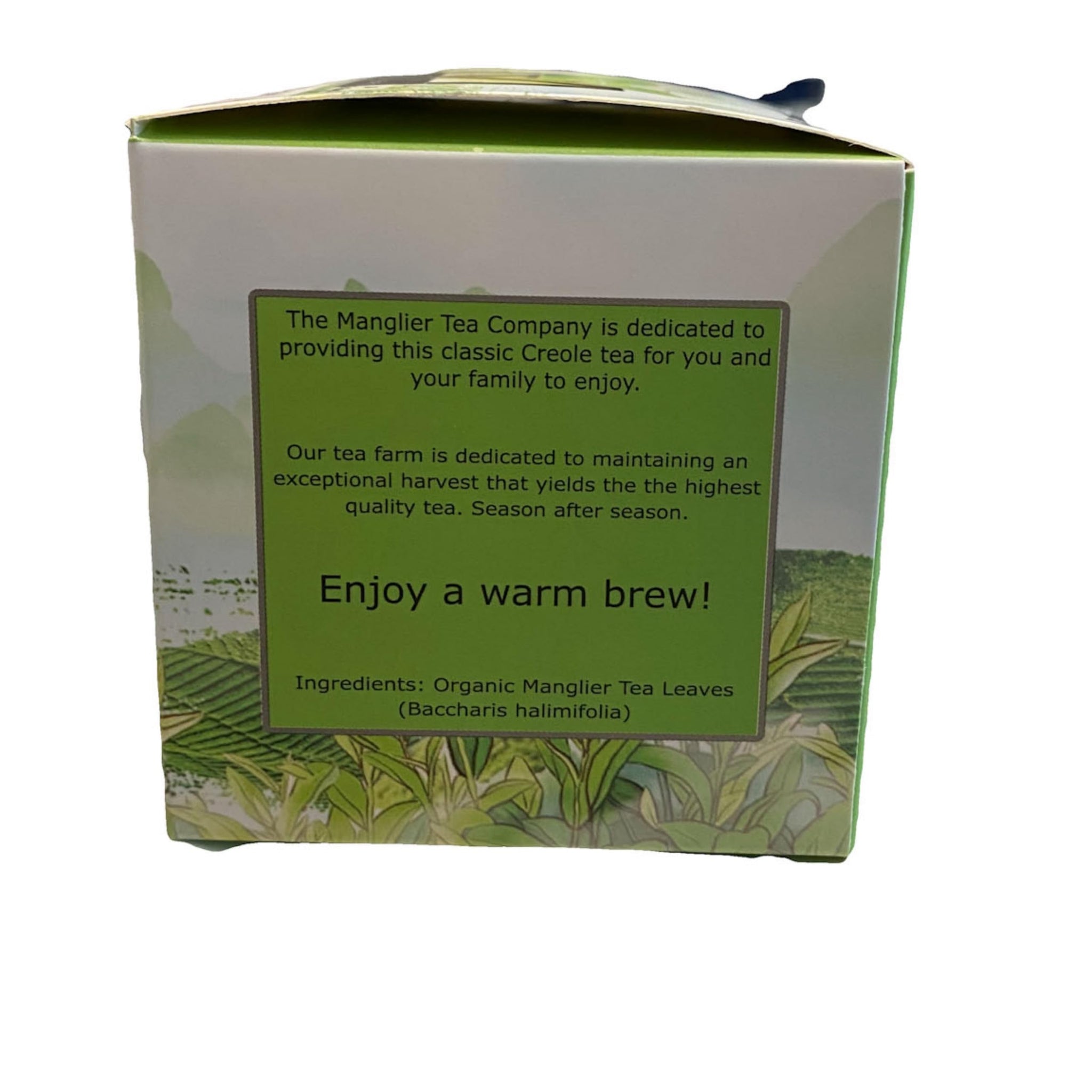 CreoleCure - 100% Organic Manglier Tea - 10 Tea Bags - Wellness Tea made from the groundsel bush.