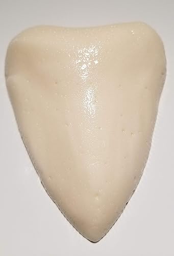 The Gummy Bear Guy | Gummy Megalodon Tooth (Pineapple)