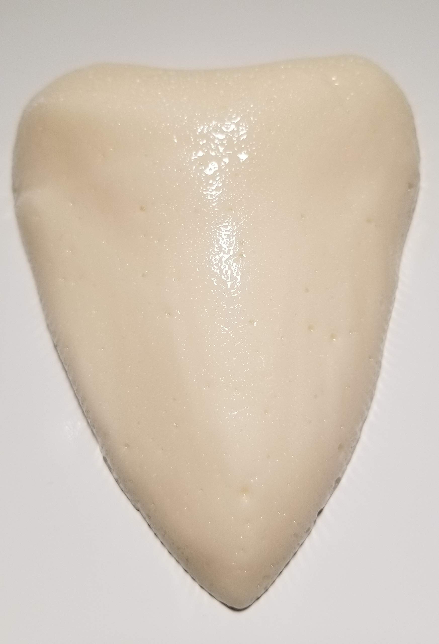 The Gummy Bear Guy | Gummy Megalodon Tooth (Pineapple)