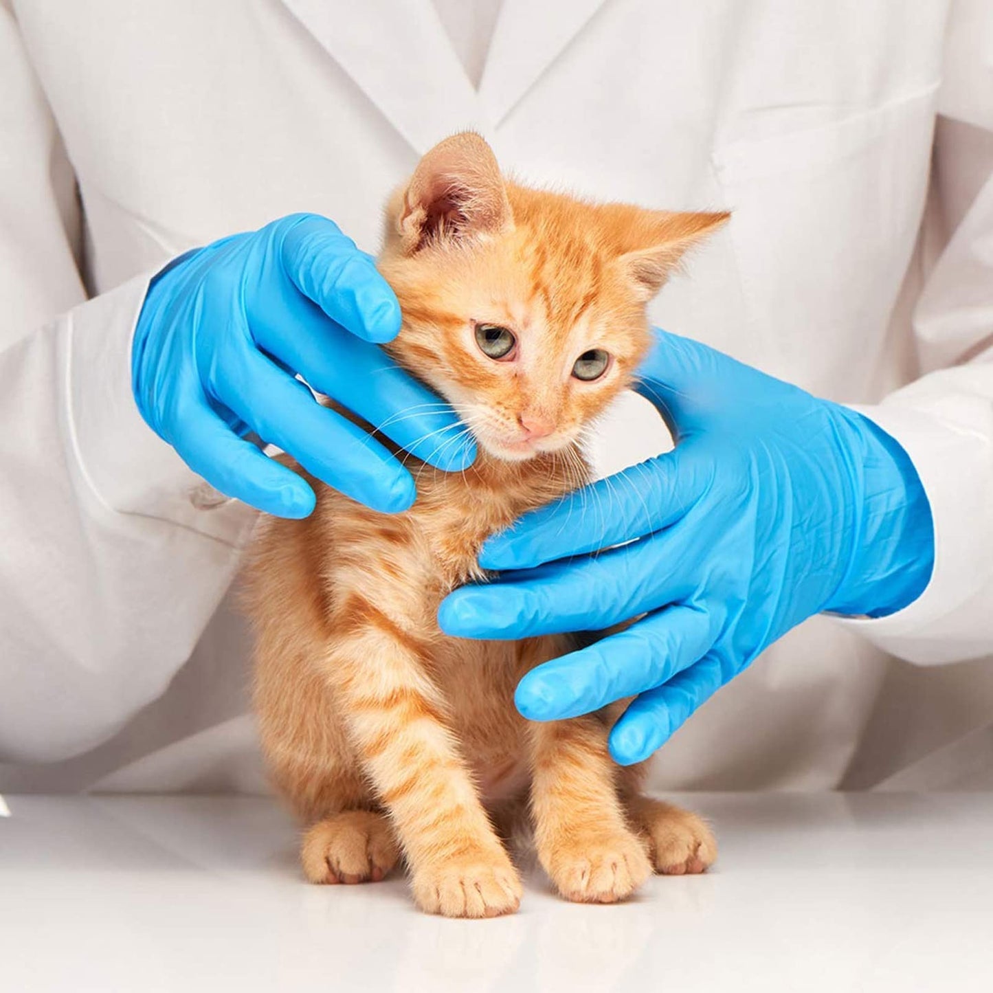Medical Blue Nitrile Exam Gloves - Latex-Free & Powder-Free - NGPF7001 (Case of 1,000), Small