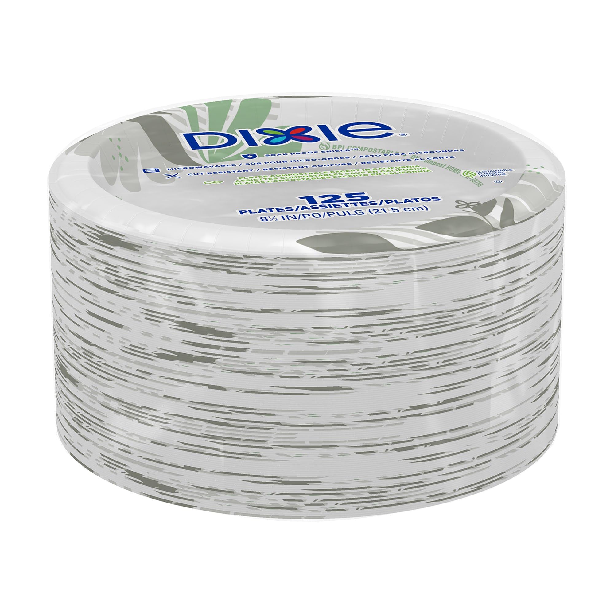 Dixie Pathways Paper Plates
