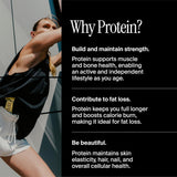 David Protein Bar, David Favorites, 60 Protein Bars | 28g of Protein | 150 Calories | 0g of Sugar - High Protein, Low Carb, Gluten Free Protein Bar
