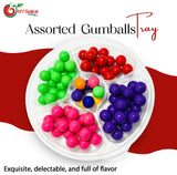 NY Spice Shop Assorted Gumballs Tray - 2 Pound Fruity Gumballs Tray Gift Pack - Gumballs for Candy Buffet - Juicy Fruity Gumballs - Fruit Flavored