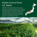 VAHDAM, Japanese Matcha Tea Powder (50 Cups,3.53oz) Sourced from Japan | Authentic Japanese Matcha Green Tea Powder | Classic Culinary Matcha From
