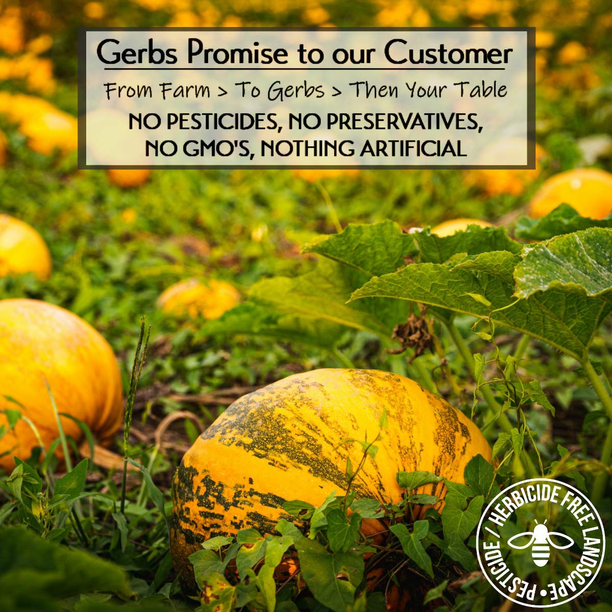 Gerbs Ground Pumpkin Seed Meal, 2 LBS - Top 14 Food Allergy Free & NON GMO - Vegan & Keto Safe - Cold Milled Full Oil Seed Protein Powder