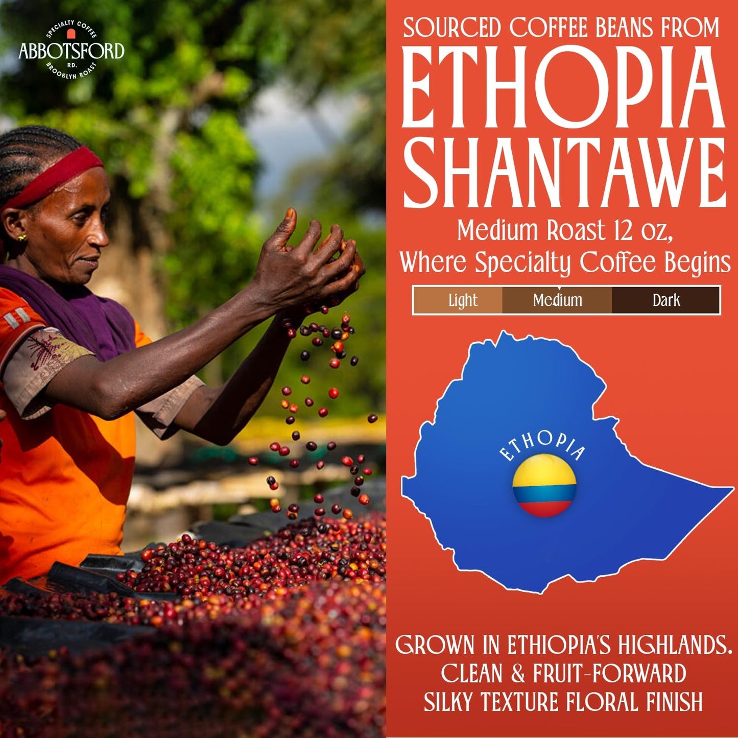 Ethiopia Shantawe Ground Coffee, Medium Roast Ethiopian Coffee, Floral & Fruity Notes with Jasmine, Plum & Lavender, Single Origin Ground Coffee 12oz