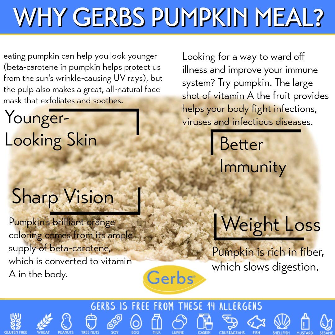 Gerbs Ground Pumpkin Seed Meal, 2 LBS - Top 14 Food Allergy Free & NON GMO - Vegan & Keto Safe - Cold Milled Full Oil Seed Protein Powder