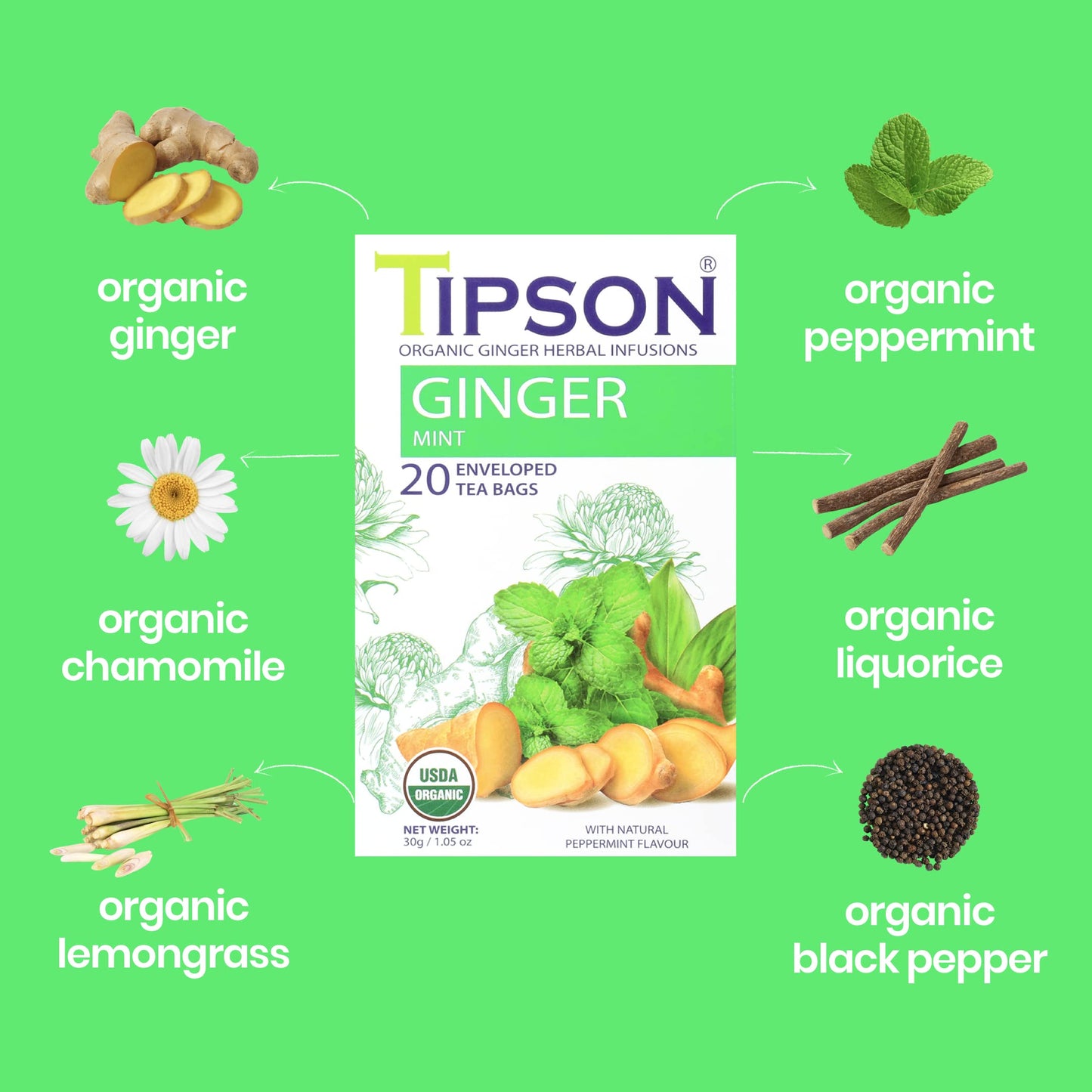 Tipson Organic Ginger Herbal Infusions - Ginger Mint Flavor - All Natural, USDA Organitc - 20 Premium Tea Bags (Pack of 1)