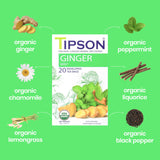 Tipson Organic Ginger Herbal Infusions - Ginger Mint Flavor - All Natural, USDA Organitc - 20 Premium Tea Bags (Pack of 1)