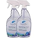 Earthview Glass Cleaner, Fragrance Free, 2 pk/ 32 oz- Designed for Environmental Sensitivities (MCS, EI, MI)