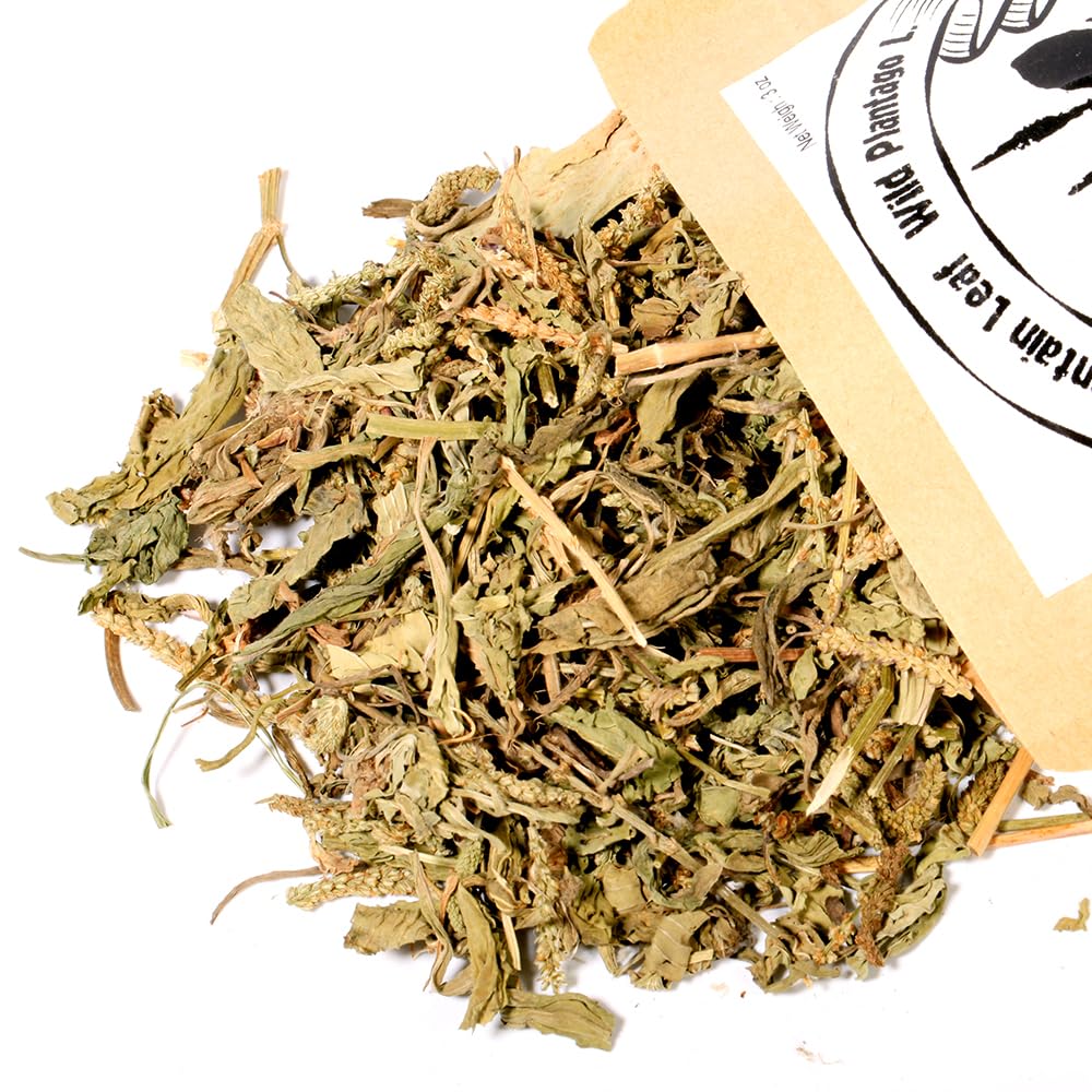EidolonGreen [China Medicinal Herb] Plantago Ovata/Plantain Leaf Tea (Cheqiancao/???/???) Herbal Tea, 3 oz (88g) - Perfect for Daily Enjoyment