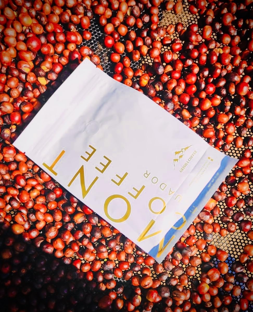 Mont Coffee - Geisha Coffee Ecuador, Whole Bean, Fresh Rosted, Premium Ecuadorian Specialty Geisha Roasted Coffee Beans | Awarded 88+ (12oz